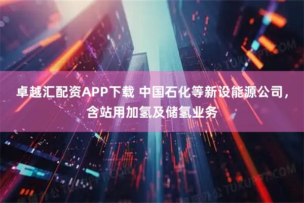 卓越汇配资APP下载 中国石化等新设能源公司，含站用加氢及储氢业务